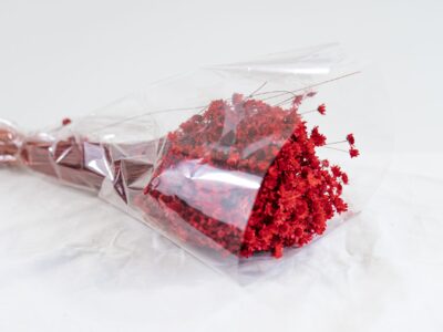 Droogbloemen bundel Glixia rood