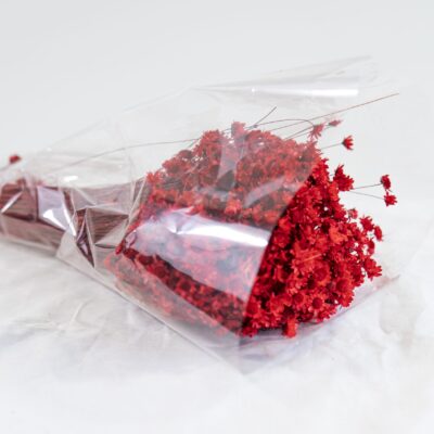Droogbloemen bundel Glixia rood - 50 gram