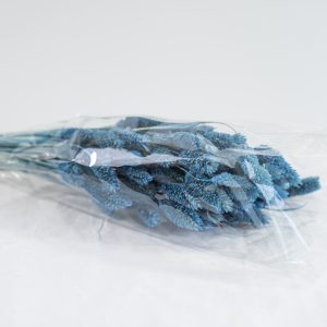 Droogbloemen bundel phalaris blauw