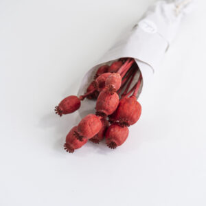 Droogbloemen bundel papaver rood
