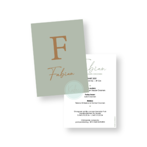 Ontwerp geboortekaartje - Fabian