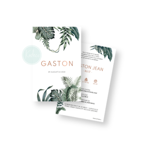 Ontwerp geboortekaartje - Gaston