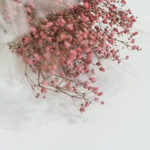 Droogbloemen bundel Gypsophila pink