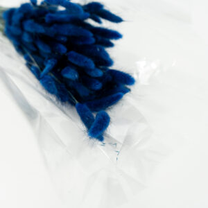 Droogbloemen bundel Lagurus donkerblauw