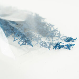 Droogbloemen bundel Brizonne blauw