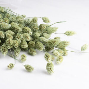 Droogbloemen bundel - hill flower wit
