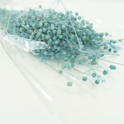 Droogbloemen bundel Linum (vlas) aqua lichtblauw