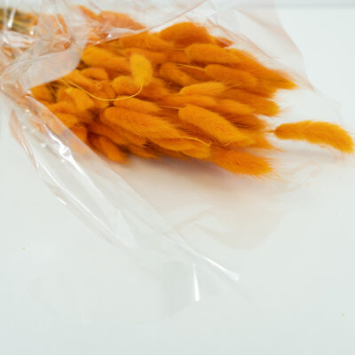 Droogbloemen bundel Lagurus Oranje