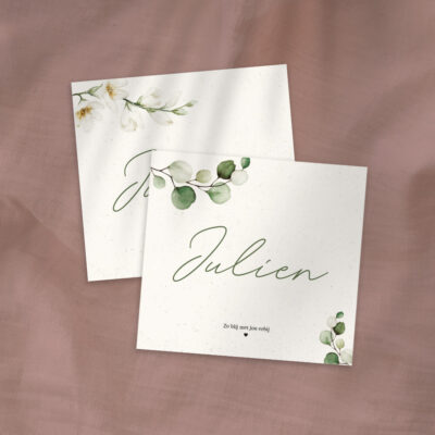 Ontwerp geboortekaartje - Julien