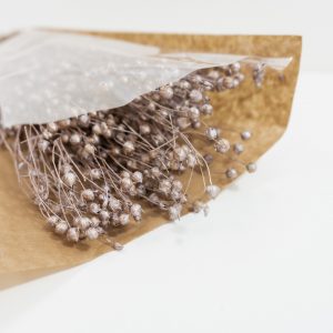 Droogbloemen bundel Linum (vlas) pearl copper
